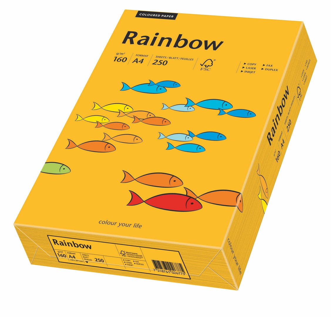 Papier ksero Rainbow A4 160g jasny pomarańczowy R22 Papyrus
